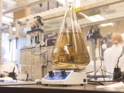 Turning food waste into biodegradable plastics