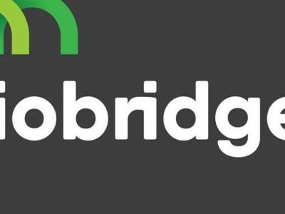 SECOND ISSUE OF BIOBRIDGES’ NEWSLETTER