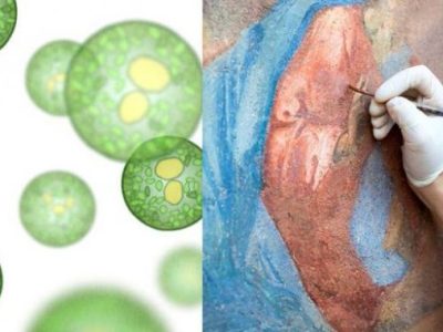 Check out the second issue of BIOVOICES Newsletter!