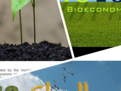 PLAY WITH BIOECONOMY!