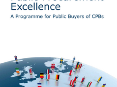 PUBLIC PROCUREMENT EXCELLENCE PROGRAMME